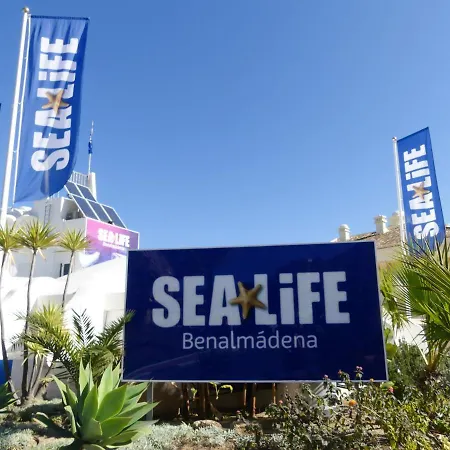 Lägenhet La Carihuela Torremolinos- 1- Costa Sol *