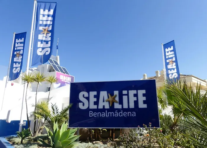 Apartamento La Carihuela Torremolinos- 1- Costa Sol *